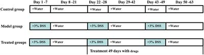 The Extracts of <mark class="highlighted">Morinda</mark> officinalis and Its Hairy Roots Attenuate Dextran Sodium Sulfate-Induced Chronic Ulcerative Colitis in Mice by Regulating Inflammation and Lymphocyte Apoptosis